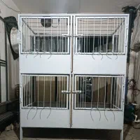 قفس لاری گنجه لاری