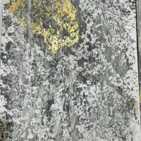 تابلو|تابلو، نقاشی، عکس|بندرعباس, |دیوار