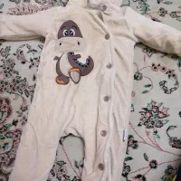 تدی نوزاد درحدنو