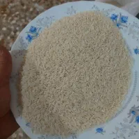برنج طارم هاشمی