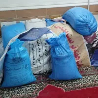 گندوم|خدمات باغبانی و درختکاری|باوی, |دیوار