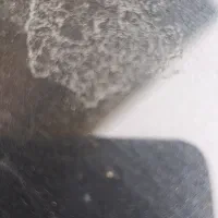 رفع فضله پرنده بصورت دائمی|خدمات موتور و ماشین|رشت, حومه رشت|دیوار