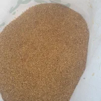 گندم یوواروس بوجاری شده