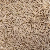 جو بومی با کیفیت