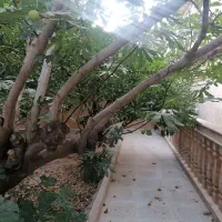 ۱۶۵متر/۳خواب/حیاط احتصاصی/صفر