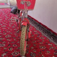 دوچرخه تیگیر 20 دخترانه|دوچرخه، اسکیت، اسکوتر|مشهد, شهرک بهارستان|دیوار