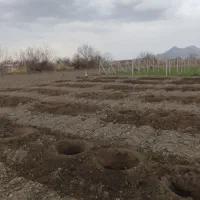 چاله کن چاله کنی انواع نهال تیرچه فنس|خدمات باغبانی و درختکاری|ارومیه, |دیوار