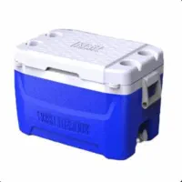 یخدان و کلمن مسافرتی کیش