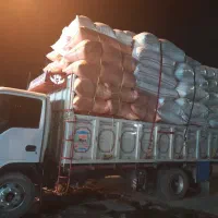 کاه خرمنی درجه یک کیلو۱۶مقطوع