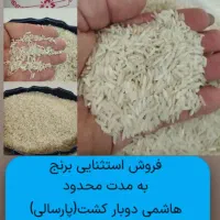 برنج طارم هاشمی کشت دوم|خوردنی و آشامیدنی|تهران, مجیدآباد|دیوار