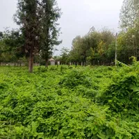 ۲۲۰ متر زمین مسکونی گلسرک سنگرسراوان جاده تهران|فروش زمین و ملک کلنگی|سنگر, |دیوار