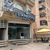 باریستا خانم