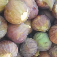انجیر|خوردنی و آشامیدنی|شاهرود, |دیوار