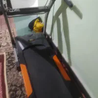 تردمیل