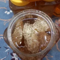 عسل سبزه کوه در لردگان|خوردنی و آشامیدنی|لردگان, |دیوار