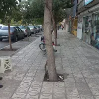 منزل وسوئیت اجاره ی شخصی و تمیز موقت