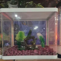 شیشه خم شرکتی دکور شده AQUA SEYF ماهی/آکواریوم|ماهی|زنجان, |دیوار