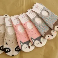 انواع لباس زیر و جوراب زنانه|لباس|نطنز, |دیوار