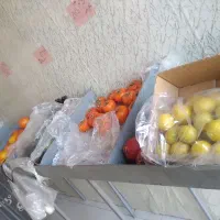 استند میوه فروشی|عمده‌فروشی|کاشان, فاز ۲ ناجی آباد|دیوار