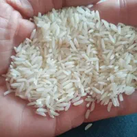 برنج هاشمی درجه یک مستقیم از کشاورز|خوردنی و آشامیدنی|تهران, زنجان جنوبی|دیوار