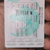 راننده پایه یک سالم و مدارک کامل|خدمات حمل و نقل|کرمان, |دیوار