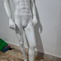 مانکن مردانه|لوازم خیاطی و بافتنی|گرگان, |دیوار