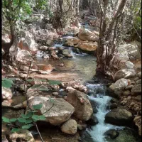 تور یک روزه بهاری آبشار آب گرمه همراه با میلاد گشت