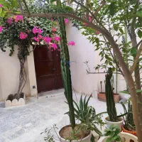 ۴ واحدی یکجا کافه سنتی بافت‌ قدیم