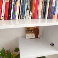 کتابخانه نو|کتابخانه، شلف، قفسههای دیواری|بیرجند, |دیوار