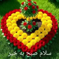 نیازمند سرمایه