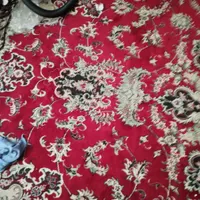 فرش‌دوازده‌متری‌درحد‌نو