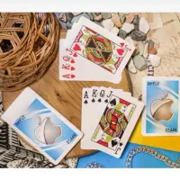 پاسور طرح اپل اصلی