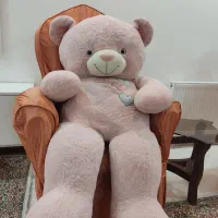 خرس عروسکی صورتی با جنس نرم