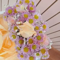 سوپرایز گل|گل و گیاه طبیعی|بندرعباس, |دیوار