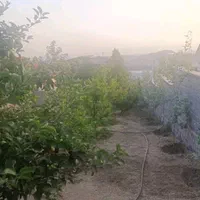 باغچه ویلای 600 متر 50بنا در مهرآباد رودهن|فروش خانه و ویلا|رودهن, |دیوار