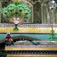 کاروان مشهد۲۴ و کربلا ۱۷ و همه روزه با اتوبوس قطار|تور و چارتر|کرمان, |دیوار