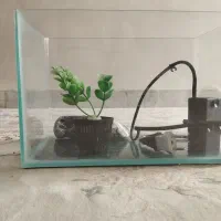 آکفاریوم|لوازم جانبی حیوانات|کرج, چهارصد دستگاه|دیوار