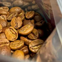 قهوه و پودریجات درجه یک مستقیم از کارخانه