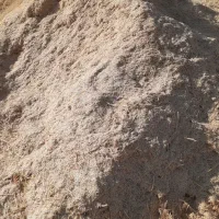 کاه گندم