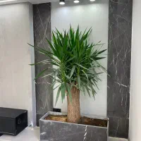 پکیج-پاسداران-کوچه-زوج-دو-خواب-تهاتر