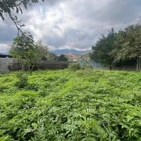 270متر زمین مسکونی مستثنیات (دیگه سرا) جنگلی
