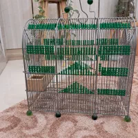 قفس سهره دست ساز مهره سبز