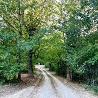 فروش زمین  چسبیده به بافت افراتخته کوچه راهدارخانه