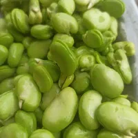 نیازمند کار در منزل