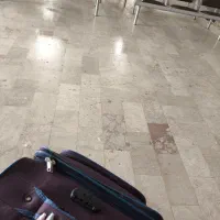 یک قطعه طلا پیدا شده