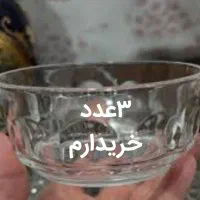پیاله شستی|ظروف سرو و پذیرایی|گلبهار, شهر جدید گلبهار|دیوار