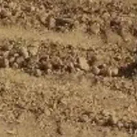 فروش زمین