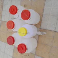 ظروف یکبار مصرف