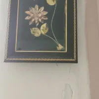 قاب اندازه طول ۲۰ سانت عرض ۱۵ سانت