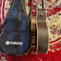 گیتار حرفه تی|گیتار، بیس، امپلیفایر|مشهد, پورسینا|دیوار